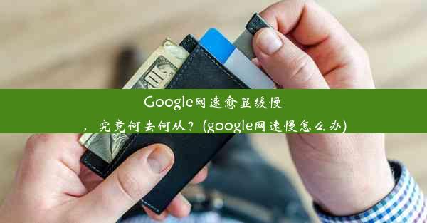 Google网速愈显缓慢，究竟何去何从？(google网速慢怎么办)