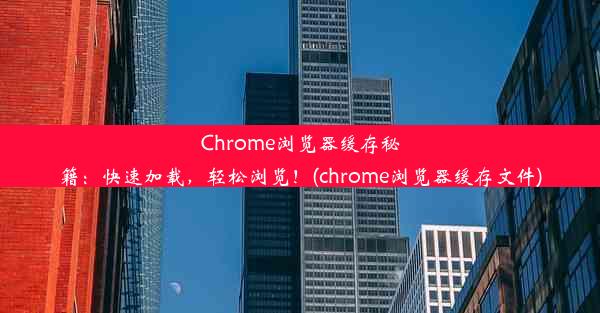 Chrome浏览器缓存秘籍：快速加载，轻松浏览！(chrome浏览器缓存文件)