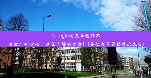 Google浏览器插件不兼容？别担心，这里有解决方案！(谷歌浏览器插件没反应)