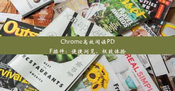 Chrome高效阅读PDF插件：便捷浏览，极致体验