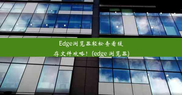 Edge浏览器轻松查看缓存文件攻略！(edge 浏览器)