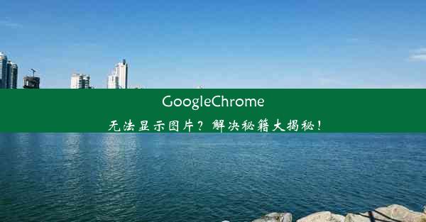 GoogleChrome无法显示图片？解决秘籍大揭秘！