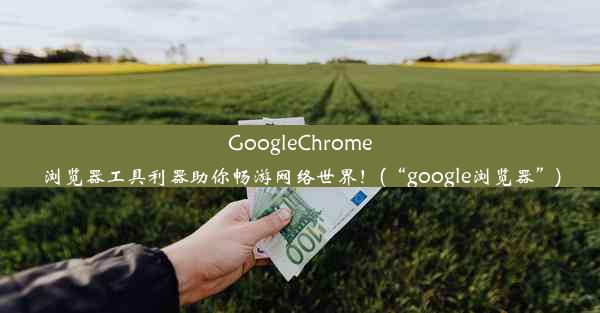 GoogleChrome浏览器工具利器助你畅游网络世界！(“google浏览器”)