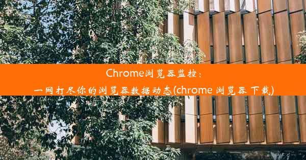 Chrome浏览器监控：一网打尽你的浏览器数据动态(chrome 浏览器 下载)