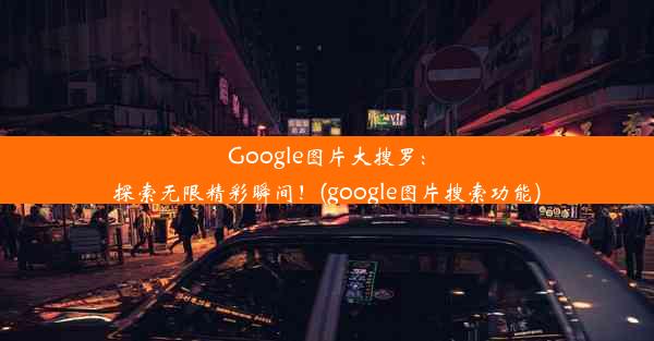 Google图片大搜罗：探索无限精彩瞬间！(google图片搜索功能)