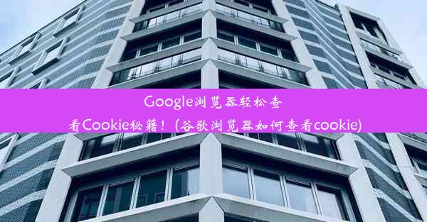 Google浏览器轻松查看Cookie秘籍！(谷歌浏览器如何查看cookie)