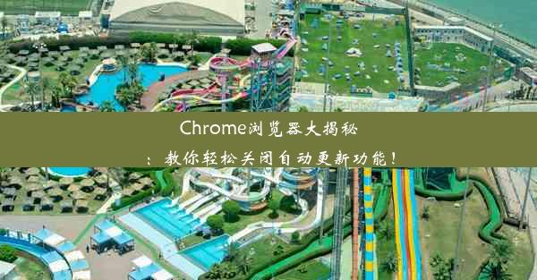 Chrome浏览器大揭秘：教你轻松关闭自动更新功能！