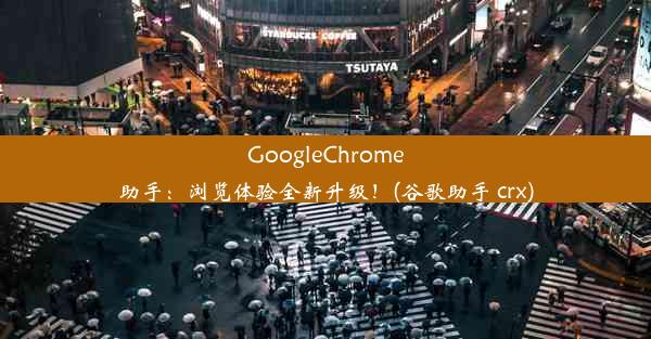 GoogleChrome助手：浏览体验全新升级！(谷歌助手 crx)