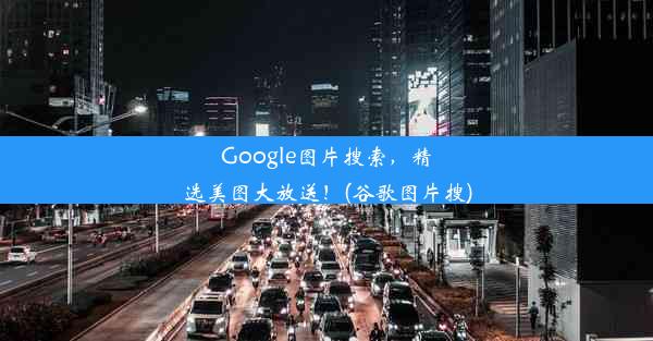 Google图片搜索，精选美图大放送！(谷歌图片搜)