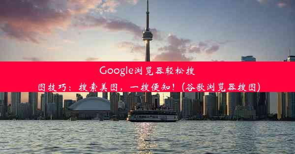 Google浏览器轻松搜图技巧：搜索美图，一搜便知！(谷歌浏览器搜图)