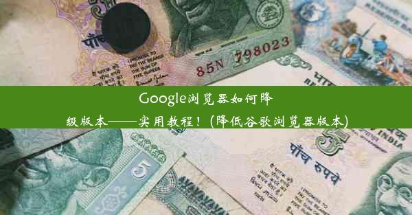 Google浏览器如何降级版本——实用教程！(降低谷歌浏览器版本)