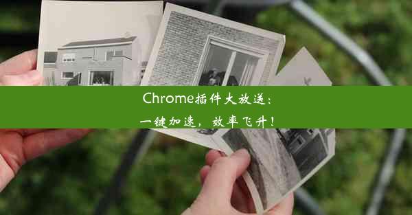 Chrome插件大放送：一键加速，效率飞升！