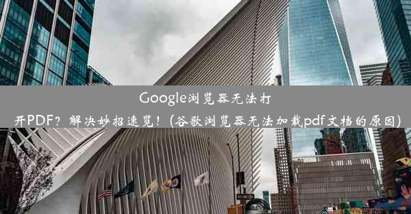 Google浏览器无法打开PDF？解决妙招速览！(谷歌浏览器无法加载pdf文档的原因)