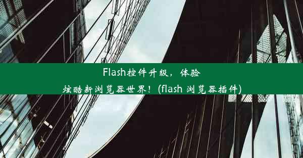 Flash控件升级，体验炫酷新浏览器世界！(flash 浏览器插件)