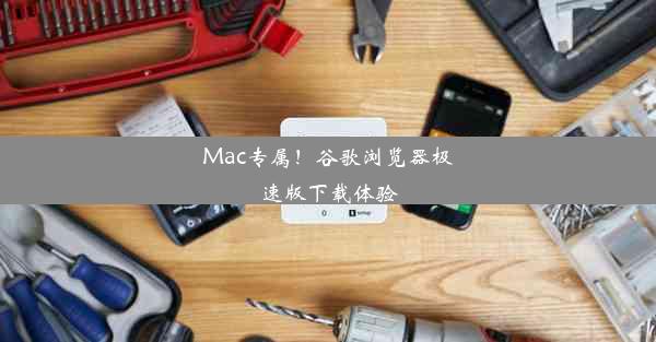 Mac专属！谷歌浏览器极速版下载体验