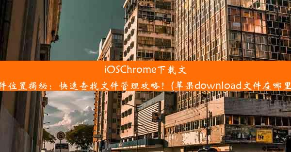 iOSChrome下载文件位置揭秘：快速查找文件管理攻略！(苹果download文件在哪里)