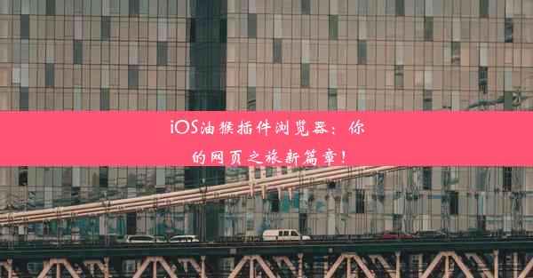 iOS油猴插件浏览器：你的网页之旅新篇章！