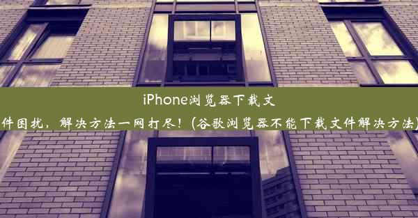 iPhone浏览器下载文件困扰，解决方法一网打尽！(谷歌浏览器不能下载文件解决方法)