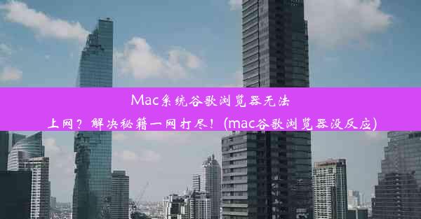 Mac系统谷歌浏览器无法上网？解决秘籍一网打尽！(mac谷歌浏览器没反应)