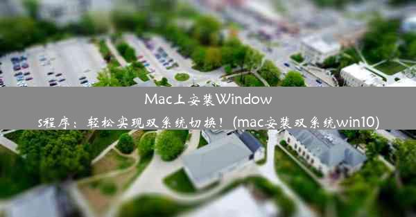 Mac上安装Windows程序：轻松实现双系统切换！(mac安装双系统win10)