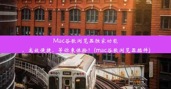 Mac谷歌浏览器独家功能，高效便捷，等你来体验！(mac谷歌浏览器插件)