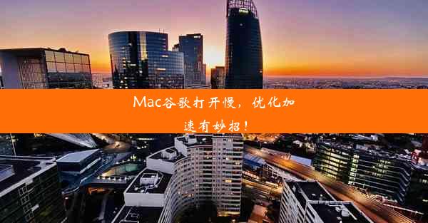 Mac谷歌打开慢，优化加速有妙招！