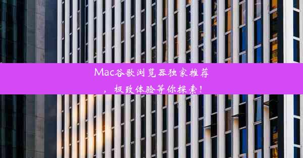 Mac谷歌浏览器独家推荐，极致体验等你探索！