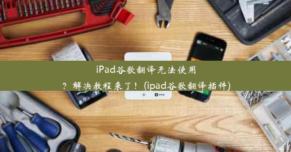 iPad谷歌翻译无法使用？解决教程来了！(ipad谷歌翻译插件)