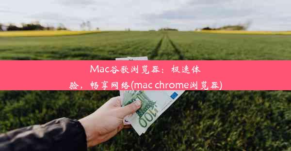 Mac谷歌浏览器：极速体验，畅享网络(mac chrome浏览器)