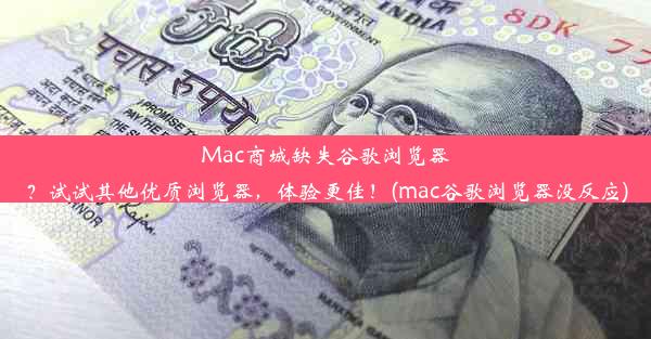 Mac商城缺失谷歌浏览器？试试其他优质浏览器，体验更佳！(mac谷歌浏览器没反应)