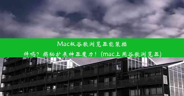 Mac版谷歌浏览器能装插件吗？揭秘扩展神器魔力！(mac上用谷歌浏览器)