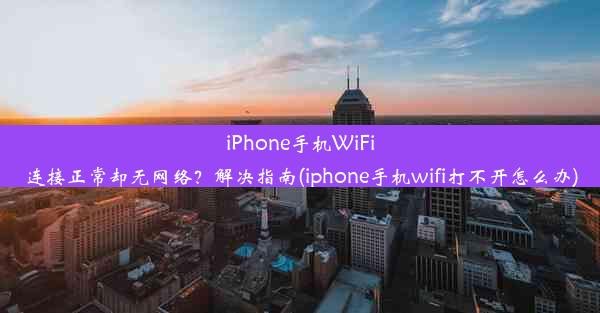 iPhone手机WiFi连接正常却无网络？解决指南(iphone手机wifi打不开怎么办)