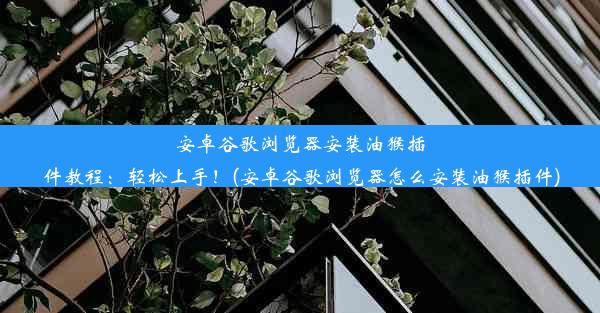 安卓谷歌浏览器安装油猴插件教程：轻松上手！(安卓谷歌浏览器怎么安装油猴插件)