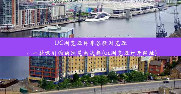 UC浏览器并非谷歌浏览器：一款吸引你的浏览新选择(uc浏览器打开网址)