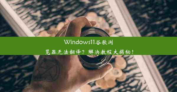 Windows11谷歌浏览器无法翻译？解决教程大揭秘！