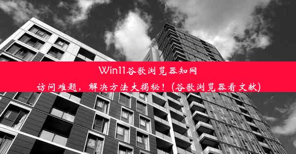 Win11谷歌浏览器知网访问难题，解决方法大揭秘！(谷歌浏览器看文献)