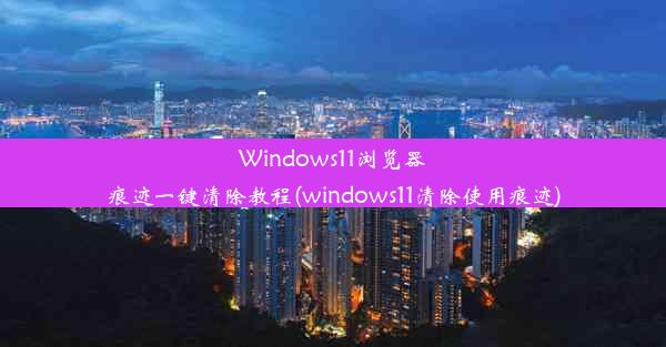 Windows11浏览器痕迹一键清除教程(windows11清除使用痕迹)