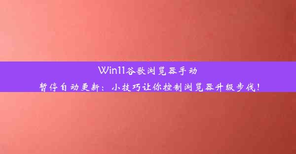 Win11谷歌浏览器手动暂停自动更新：小技巧让你控制浏览器升级步伐！