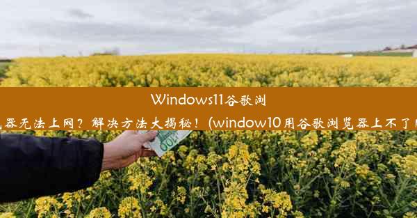 Windows11谷歌浏览器无法上网？解决方法大揭秘！(window10用谷歌浏览器上不了网)