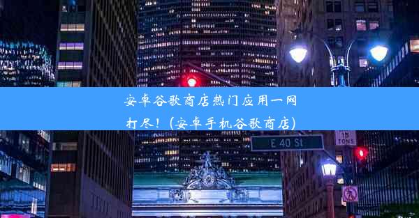 安卓谷歌商店热门应用一网打尽！(安卓手机谷歌商店)