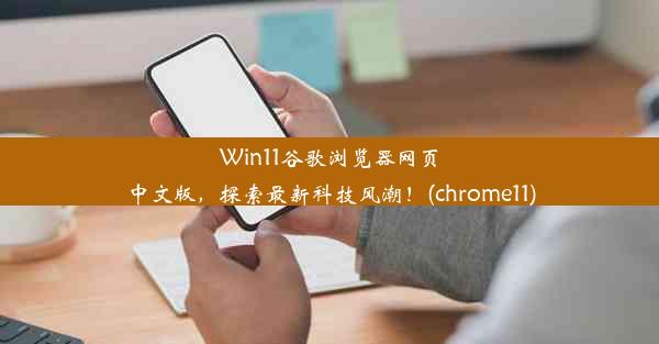 Win11谷歌浏览器网页中文版，探索最新科技风潮！(chrome11)