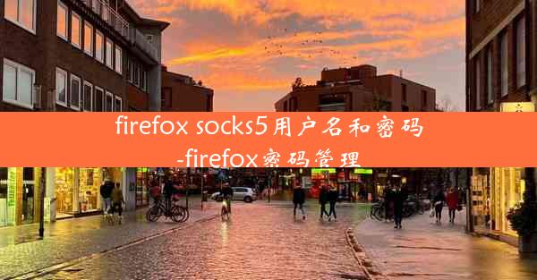 firefox socks5用户名和密码-firefox密码管理