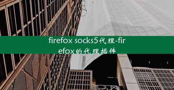 firefox socks5代理-firefox的代理插件