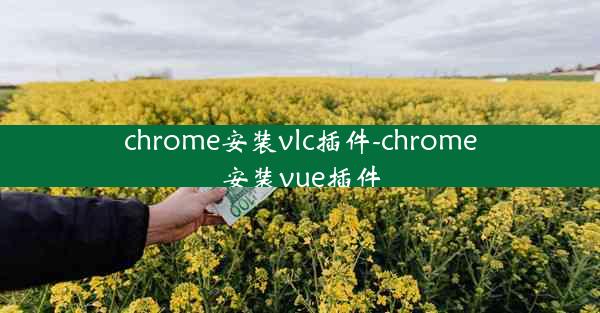 chrome安装vlc插件-chrome安装vue插件