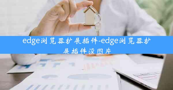 edge浏览器扩展插件-edge浏览器扩展插件没图片