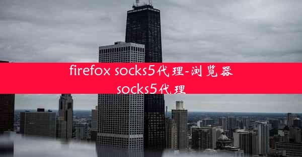 firefox socks5代理-浏览器socks5代理